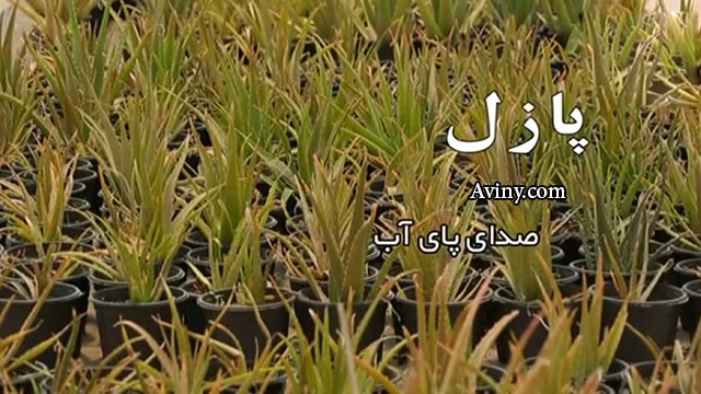 مستند پازل - صدای پای آب - دستاوردهای ایران اسلامی در حوزه پزشکی هسته‌ای 